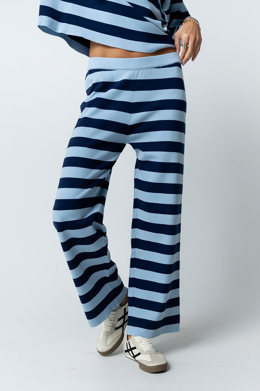 Joey Striped Wide Leg Pants in Navy - FINAL SALE